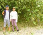 青農用心拼綠金 讓新北綠竹筍更優更安心
