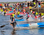 免费暑期海洋体验  大鹏湾水域活动21日开跑