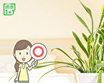 10種植物除甲醛、助眠 是天然空氣淨化機