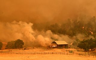 北加州野火超8萬英畝  與舊金山面積相當