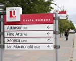 安省省府通過立法 結束約克大學近5個月罷工