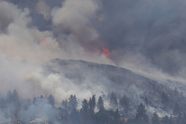 专家：加州野火危机因错误监管 而非气候变化