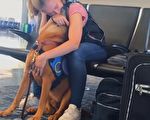 安慰犬當之無愧 嗅到主人的情緒 狗狗立刻起身這麼做