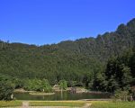 北橫明珠明池 棲蘭神木生態之旅