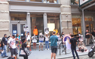 “加拿大鹅”不人道扑杀 纽约动保团体抗议