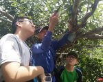 家扶暑期营队 探索职企业学习思考