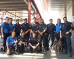 警大成立警犬研究社 培训训犬种子教官