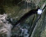 彰檢偵辦工廠排放有毒廢水 1人聲押獲准
