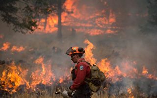 加拿大卑诗夏季发生400多起人为山火