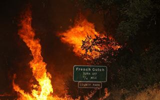 加州卡爾大火燒毀民居過千  面積超過聖荷西