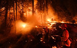 加州火情嚴峻  門多西諾大火超15萬英畝