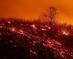 组图：火灾肆虐面积扩大 成加州史上最大野火