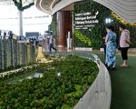 大馬下令碧桂園禁售外國人 分析：擋經濟殖民