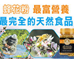 蜂花粉 最富營養 最完全的天然食品
