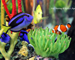 多伦多水族馆 Ripley’s Aquarium 城市中的海底花园
