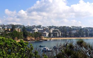 新洲中海岸房价持续上涨 不受悉尼下跌拖累