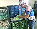 蛋品含菌重罚30万  中市：煮沸可食