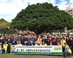 景觀樹木修剪品質不一  桃園市樹木修剪要認證