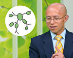 晚期也能痊癒、不復發？醫師：這種癌症很好治
