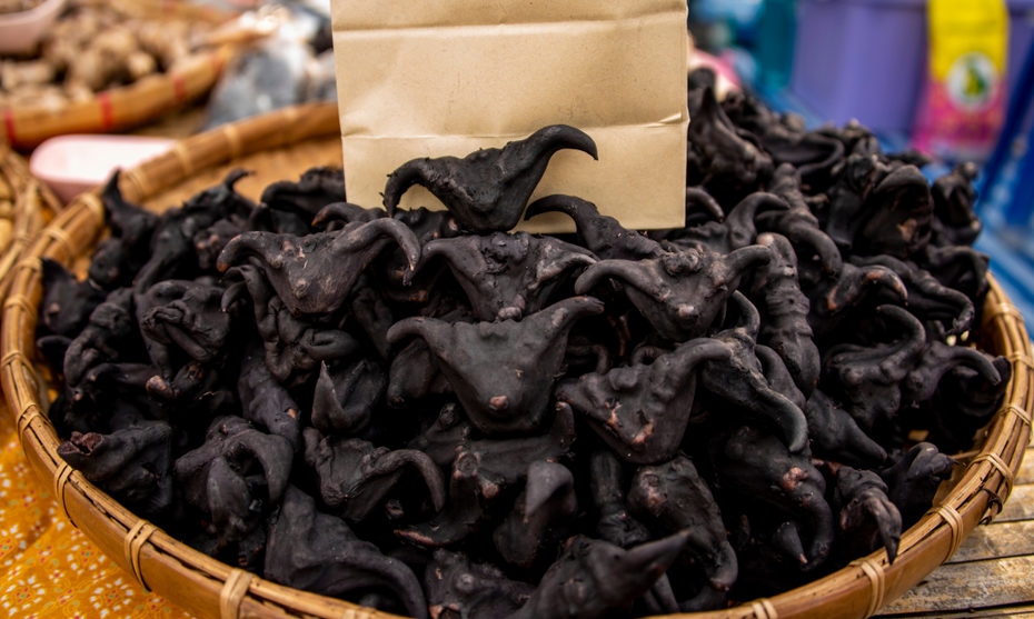 在水中生长的菱角性寒,身体虚寒的人不宜食用。(Shutterstock)