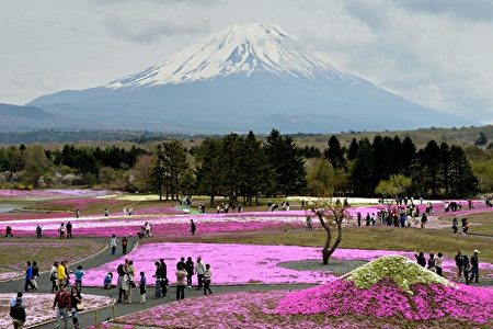 不堪其扰 富士山自拍景点无奈设屏障拒游客