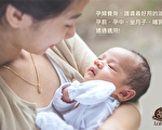 苦茶油养健康 养美丽 【孕妈咪】最给力的保养油