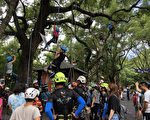 結合環保與休閒 集集辦綠色隧道攀樹體驗