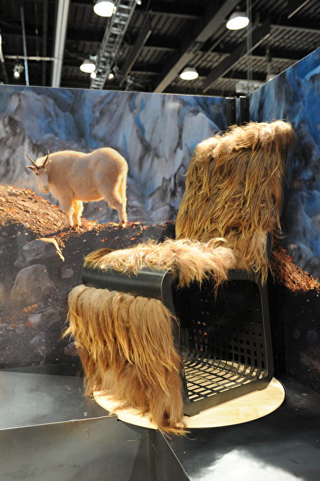 在温哥华室内设计展IDS上一角，壁画上的山羊，看到自己的羊毛做成的椅子，会是啥感受？（童宇/大纪元）
