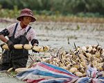 不堪贸易战 中国经济增速明年或降至6.1%