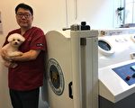 HOFA宠物高压氧医疗舱舒适安全 兽医师都推荐