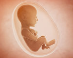 腹中胎儿会被噪音吓到吗？3招避免听觉伤害