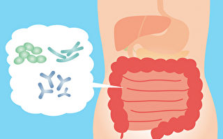 長期吃益生菌會產生依賴症？ 醫師解惑
