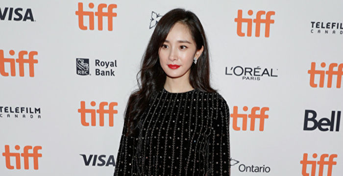 杨幂发际线后移引热议 自曝用植发液曾狂脱发