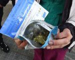 青少年抽大麻 成瘾率升4至7倍