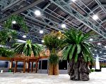 大型「巨蘭」入花博外埔館  打造植物方舟