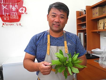 張弘典介紹自然農法生產的阿比野菜。