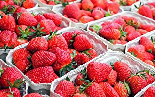 西澳產草莓也藏針 全澳草莓藏針事件繼續升溫