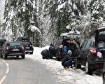 車管局：開車賞雪 換雪地輪胎上路