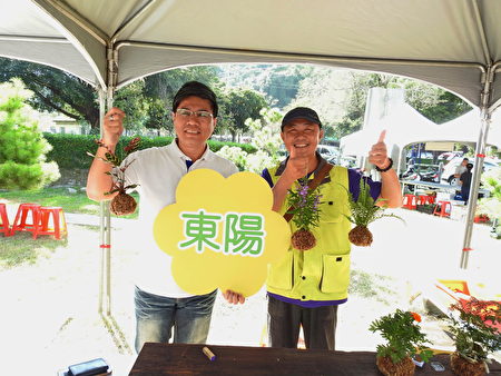 東陽社區提供的小品盆栽DIY體驗。