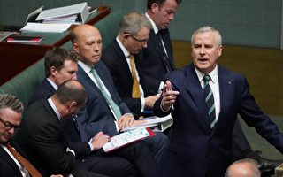 澳洲国家党领导权纷争再起 副总理面临挑战