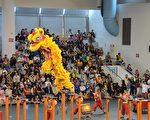 獅王爭霸戰驚險刺激 少年小獅王傳承獅藝