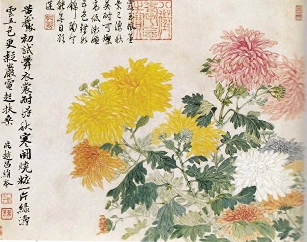 清 恽寿平《五色菊花图》故宫博物院藏 （公有领域）