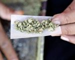加拿大大麻合法化：可这几个问题还没答案