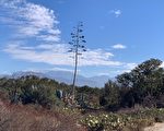 居家之道：兵來將擋、嚴進寬出