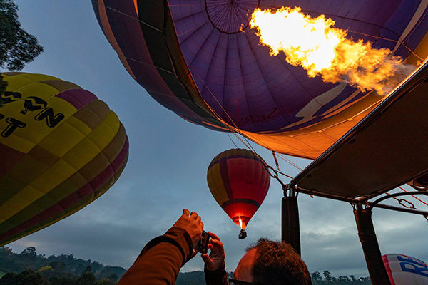 go wild ballooning