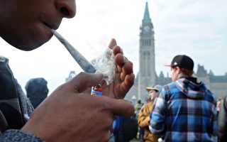 警惕！加拿大旅游公司推出“大麻游”