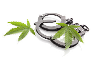大麻雖然在加拿大合法 這樣做仍會被監禁
