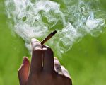 研究：吸食休闲大麻 增加中风风险