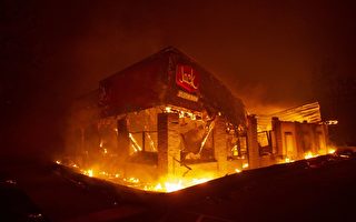 北加州坎普野火死者增至56人  近300人失踪