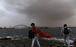 沙尘暴绵延500公里 悉尼90人哮喘病发入院